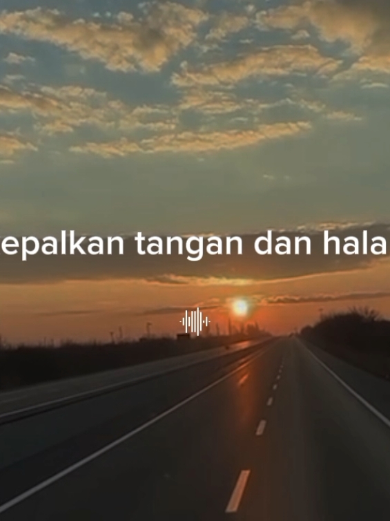 Steven & Coconut Treez||Serenada #steven &coconut #serenada #viral #fyp 