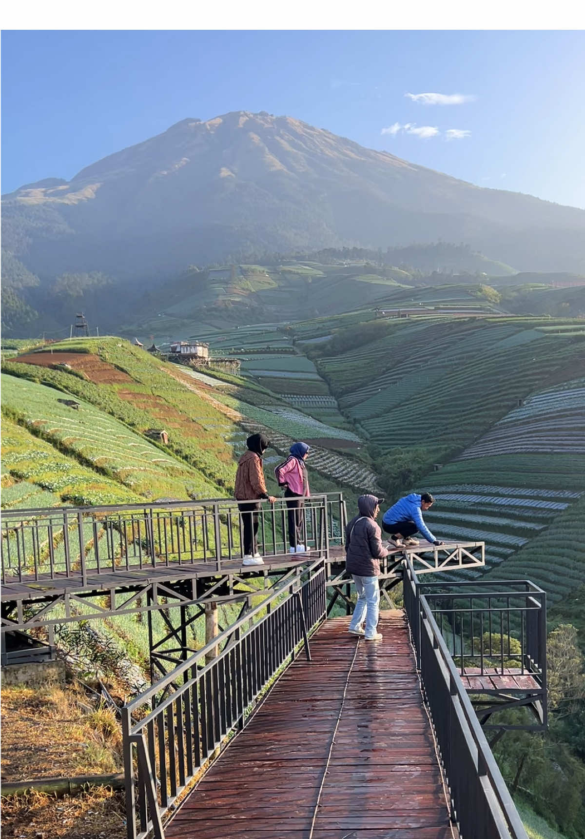 Sukomakmur di waktu embun belum kering 🍃 #wisatamagelang #magelang #sukomakmur #negerisayursukomakmur #gunungsumbing #fyp #trend #trending #wisatajogja 