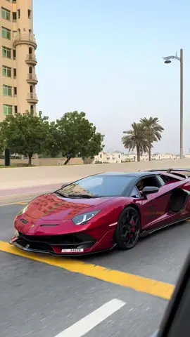 Red SVJ or Pink GT3RS? @troy  . . . . #porsche #porsche911 #911gt3rs #991gt3rs #pinkporsche #lamborghini #lamborghiniaventador #aventadorsvj #svj #supercars #dubaicars 