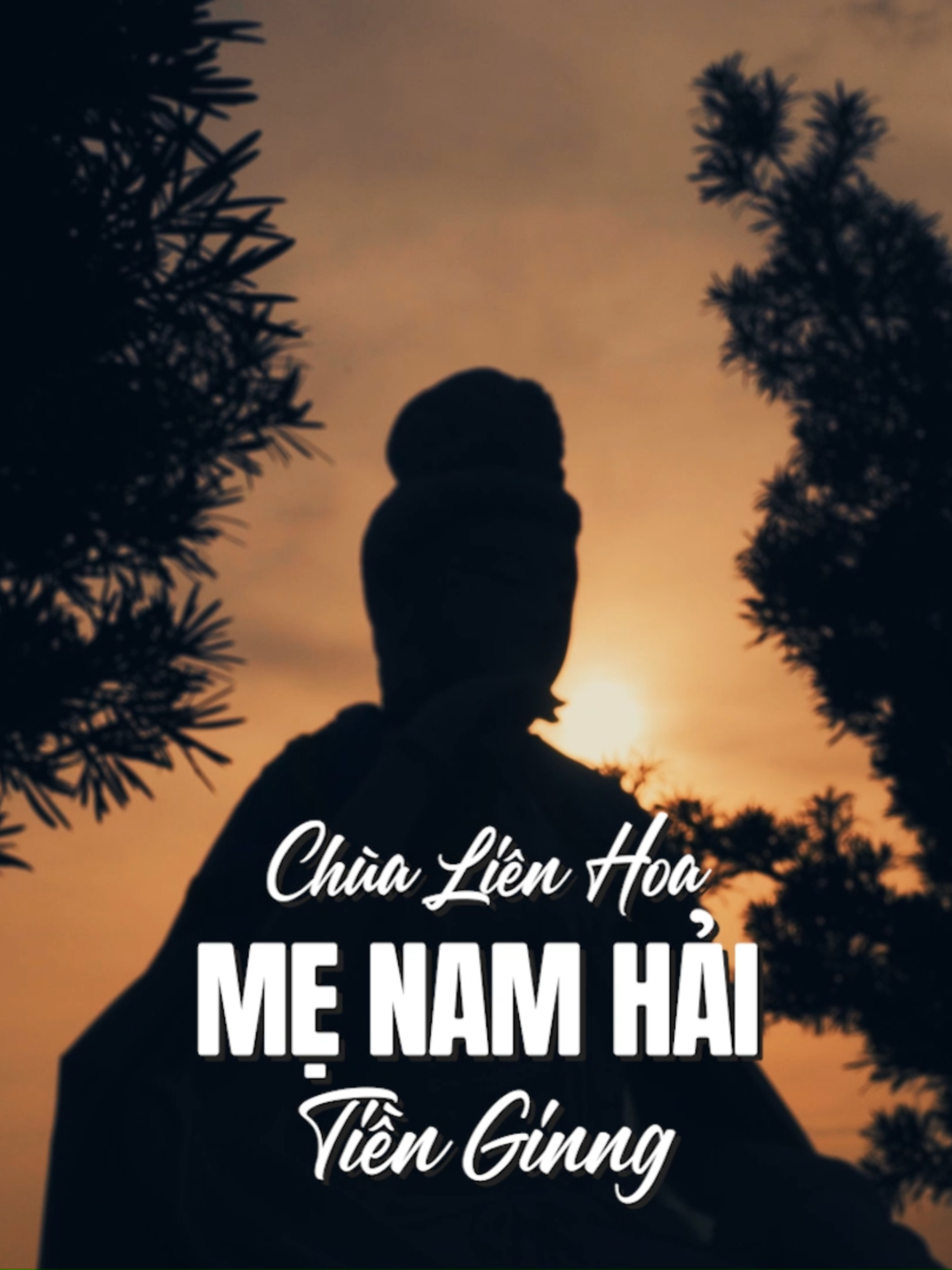 Mẹ Nam Hải bảo hộ người đi biển đi sông, tránh gặp sóng to gió lớn. Mẹ Nam Hải Tiền Giang ngự ở chùa Liên Hoa, huyện Chợ Gạo, ở ngay đầu vàm con Sông Trà đổ ra sông Tiền, nơi tàu bè thường hay đi ngang qua để xuôi thẳng ra biển lớn. Mẹ quay mặt ra phía sông, phò trợ những người con sống cuộc đời gắn liền với sông nước. #chogaotiengiang #menamhaitiengiang #chualienhoatiengiang #tiengiang #quanambotat #diaphuongchi