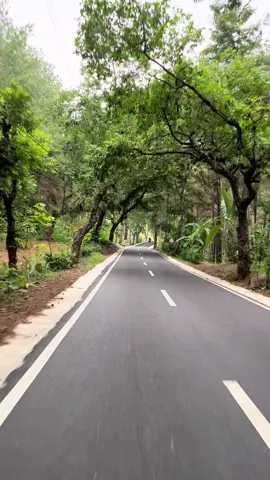 Hayo sapa yang kangen jalan ini #fypage #masukberanda #fyppppppppppppppppppppppp #trenggalek 