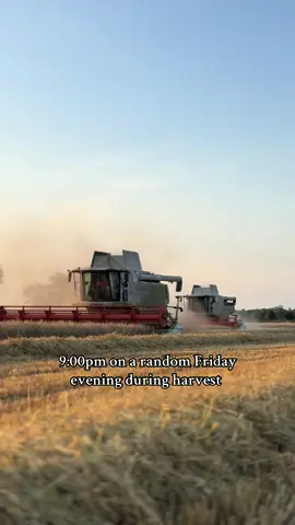 Harvest Blues #fyp#britishfarming#yfc#britishagriculture#britishagriculture#mentalhealthmatters#mensmentalhealth#longnights#earlymornings#summerevenings#BBF#harvest24🌾#vibes#lexion760#straw @Glover Agricultural Services 