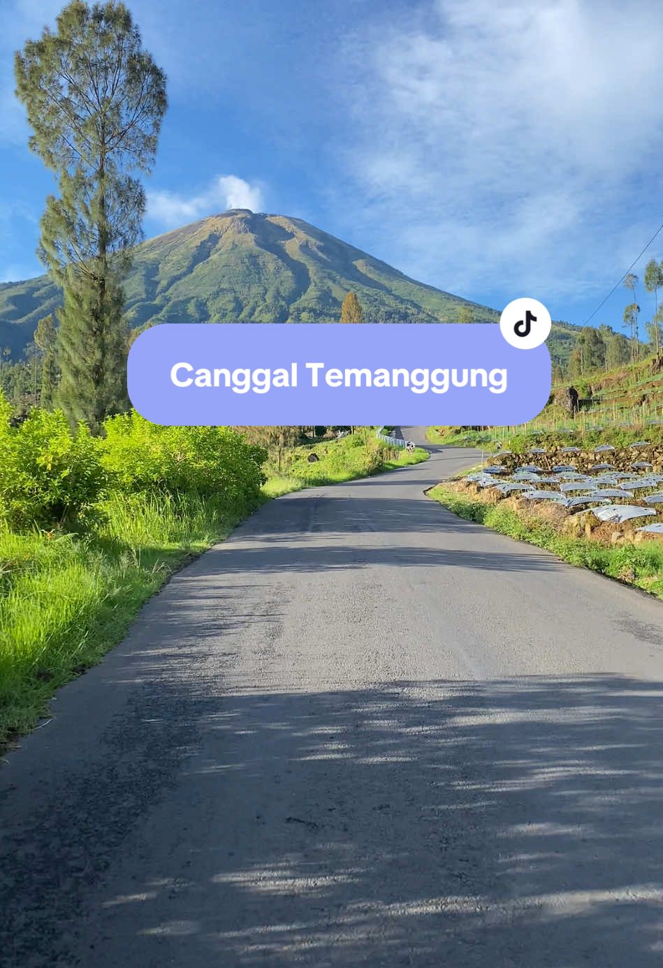 healing dengan pemandangan indah di temanggung  . . . #aestheticvibes #metoosmile #fyp @Pesona Indonesia @Wonderful Indonesia @malieqmaul13 