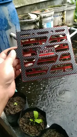 Tentang produk NSA COVER RADIATOR CIPHER CARBON untuk motor -PCX -VARIO -ADV -STYLO -n max #coverradiator #modifikasimotor #otomotif #fypviralシ 