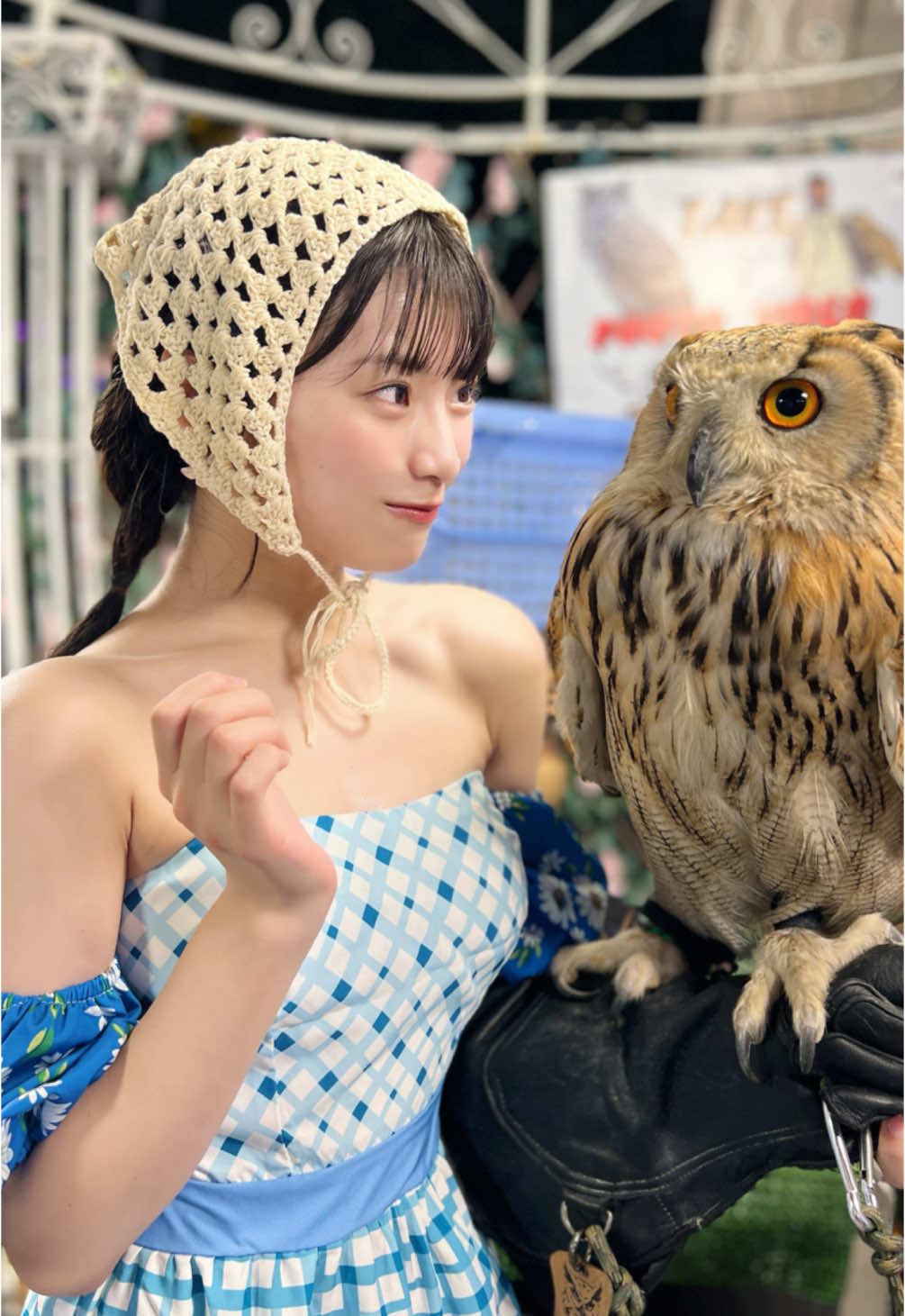 初めてのフォトブック撮影でタイの夜市にいってきたよ!みて~！ふくろうさん！🥰🥰#ที่พักพลุพัทยา #運営さん大好き #姫野ひなの #道産子 #アイドル #Mooove!