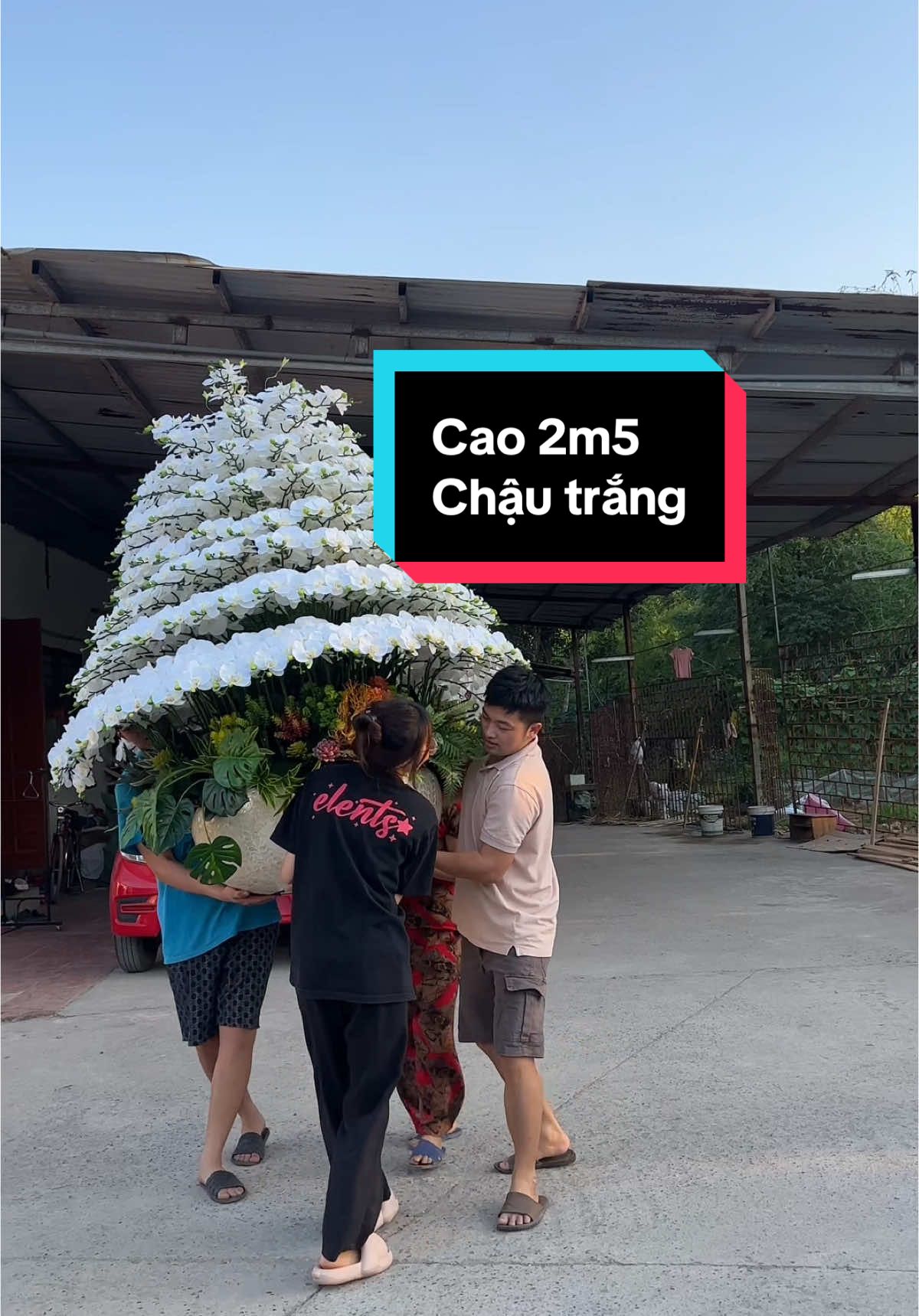 Chuẩn tiếp tục cho hoa về nhà khách. Cùng ngắm với em nào#trangtrinhacuadontet #decornhadep #hoaluatrangtri #trangtrinhacua #hoagiatrangtri #xuhuong 