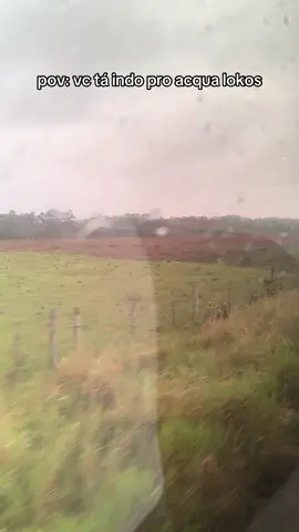 so mato na estrada kkkkkk #acqualokos 