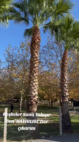 #kahramanmaraş #ozelhalkotobüsü #keşfetteyizzz 