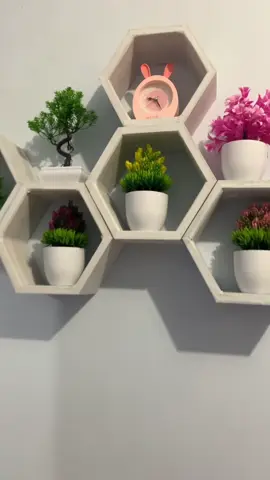hiasan bunga cantik untuk dipajang di ruang tamu😍 hiasan rak segi enamnya bisa co dibawah👇🏻🔥 #hiasandinding #hiasanrumah #fyp #foryou 