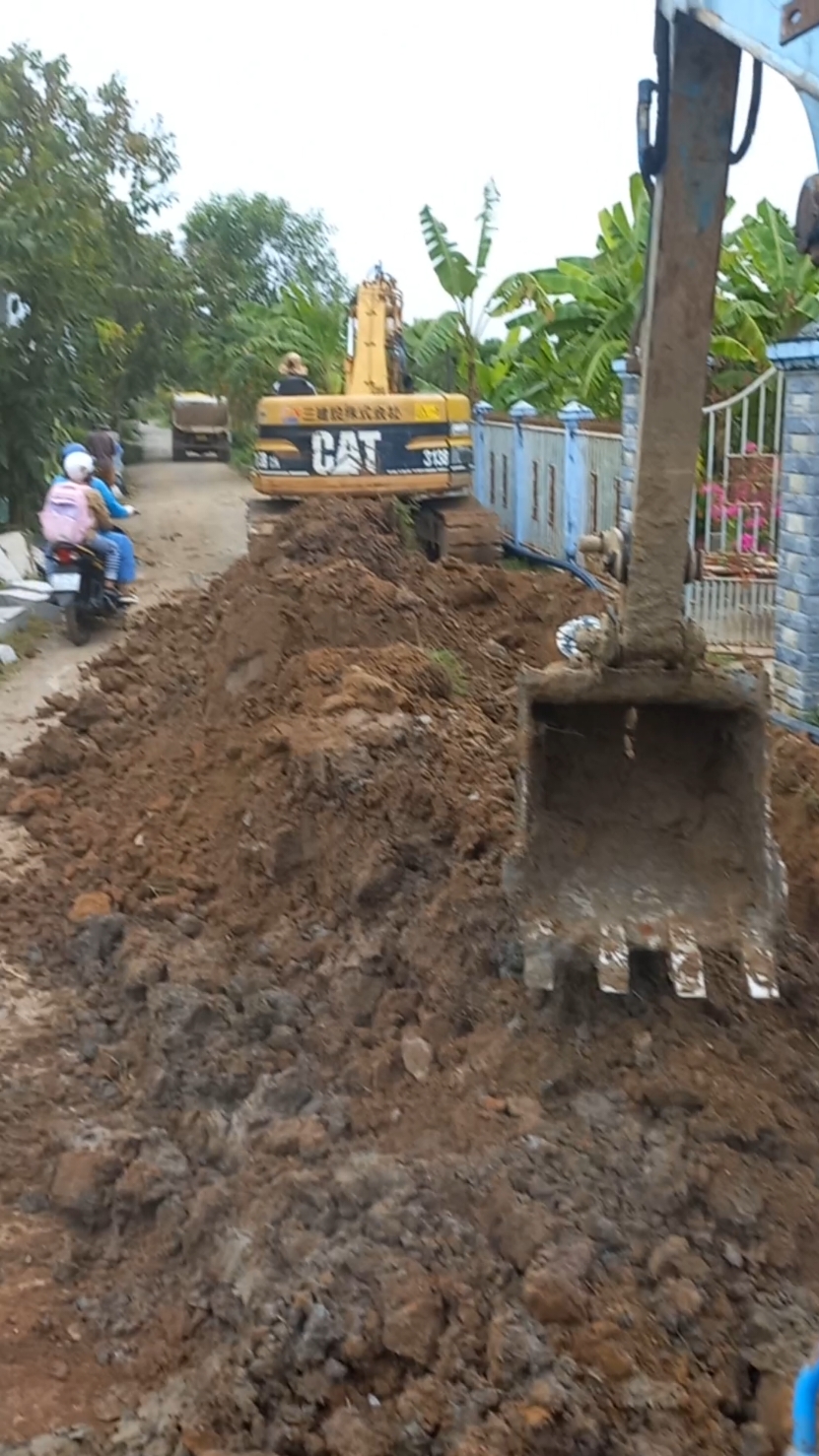 Tính ra cũng nhàn...🤣#29O9 #71C #71bentre #ANHTAIXEVUITINH 