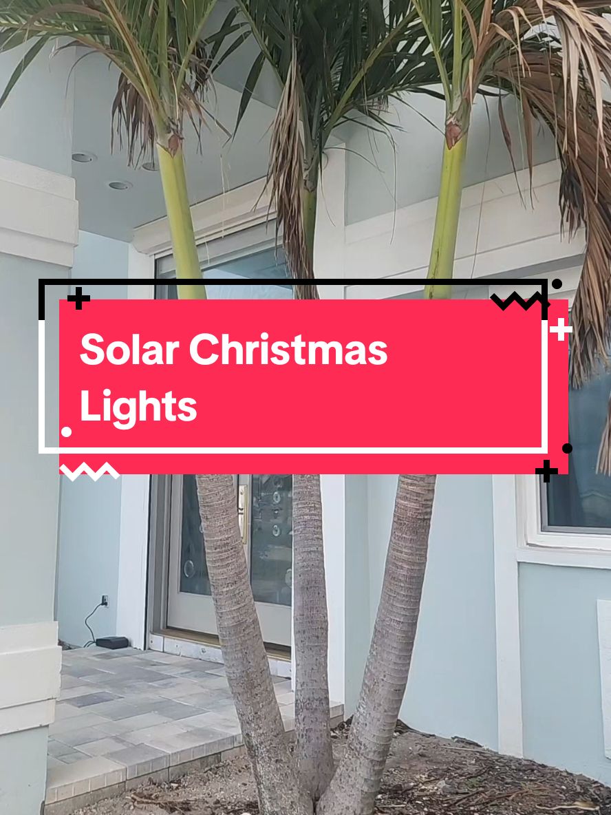 🎄Light up your holidays sustainably! 🌟 These **solar-powered Christmas lights** are the perfect way to decorate without worrying about high energy bills. 🌞✨ Easy to install, eco-friendly, and beautiful—make your holiday sparkle day and night! 🎅🎁 #ChristmasLights #SolarPowered #HolidayDecor #EcoFriendlyLiving #Christmas2024 #HolidayInspo #sustainabledecor 