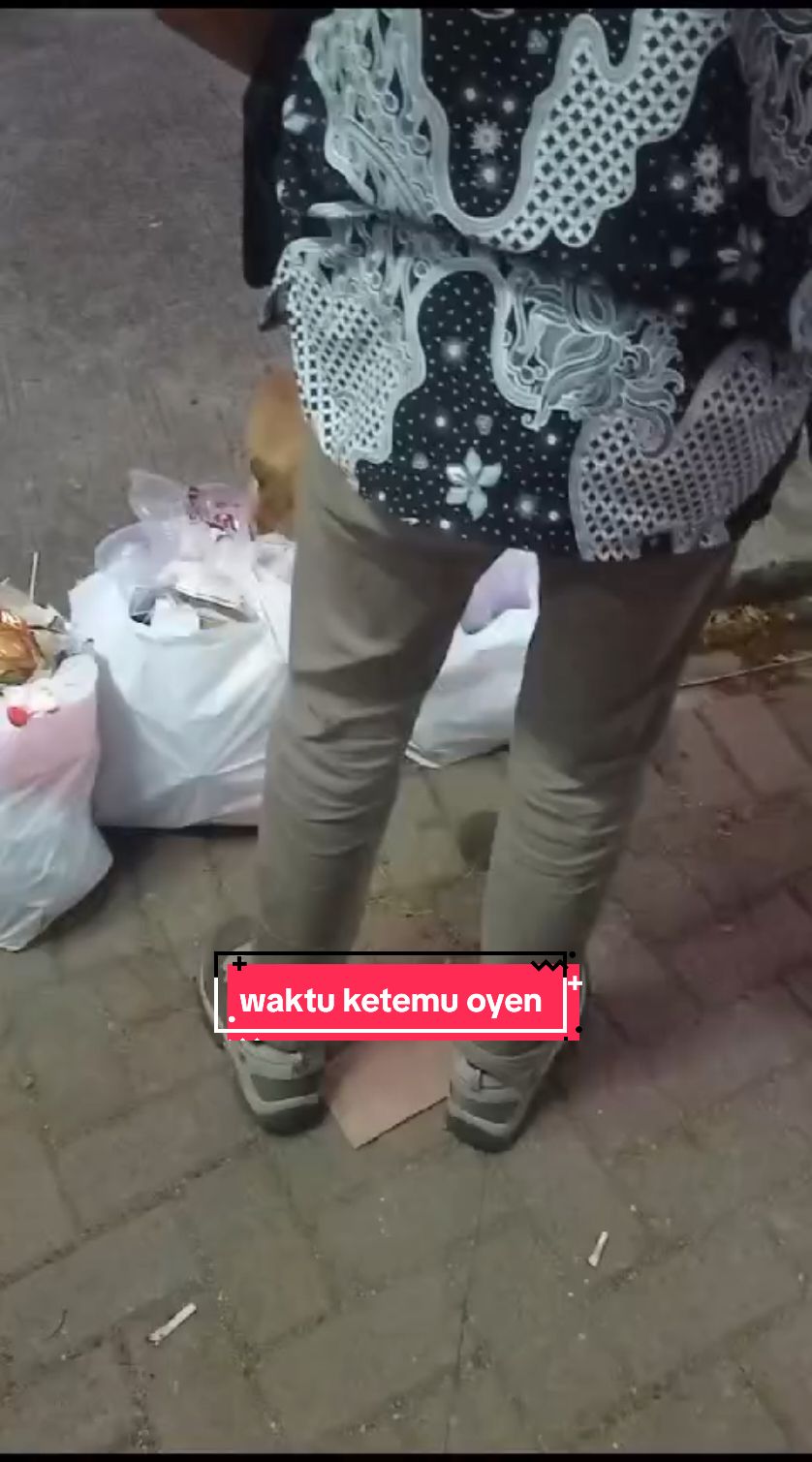 ini waktu ketemu oyen di hypermart karawaci 😂 #catlover #pecintakucing #kucing #pororoandthegank #kimwoyong #kimjiyoung #kucing #xyzbcafypシ 