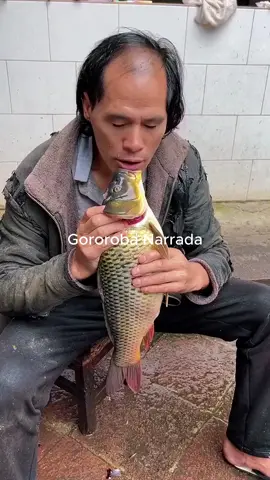 hoje o Calvão tá light, só no peixe  #gororobanarrada #calvaodecria #comedia #comidaexotica #china 
