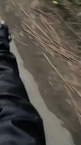 #tramtauyenbai ❤️