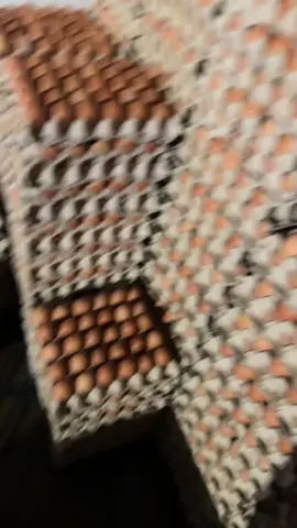 #الشعب_الصيني_ماله_حل😂😂 #fyp #فيات #الشعب_الصيني_ماله_حل😂😂 #chakama_rahom_bzaf_😏 #أشجار #فيات #مراد_علمدار 