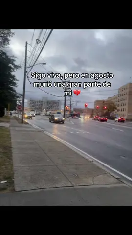 #foryouu #paratii #🕊️🤍 #💔 #😞💔 #paratii #papa🕊️💔 