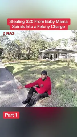 Stealing $20 From Baby Mama Spirals Into a Felony Charge #cops #police #baby #mom 