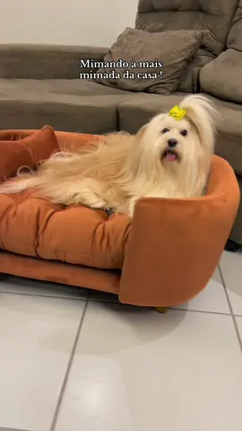 Bora para a resenha: material excelente, bem macia, ótimo tamanho, a cor exatamente como no anunciado, os pés é só enroscar (super fácil colocar) . 100000/10   Comenta: Eu quero Que envio o link para você 🩷 #cachorro #camadecachorro #sofadecachorro #pets 