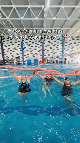 Clases de Aquafitness: energía, ritmo y diversión en cada movimiento 🏋️‍♀️🌊 ¡Aquí marcamos juntas el paso! 💪 #Aquafitness #EjercicioEnElAgua #VidaActiva #beneficiosdelanatacion #nadar #natacion #deporte #acuaticasamil #SoySamil #cosasdenadadores #swimmingpool #swimmer #swimm #parati #animochicas #aquaerobics #aqua #fyp #swimmercheck #entrenamiento #swimminglessons #aquafitnessinstructor 