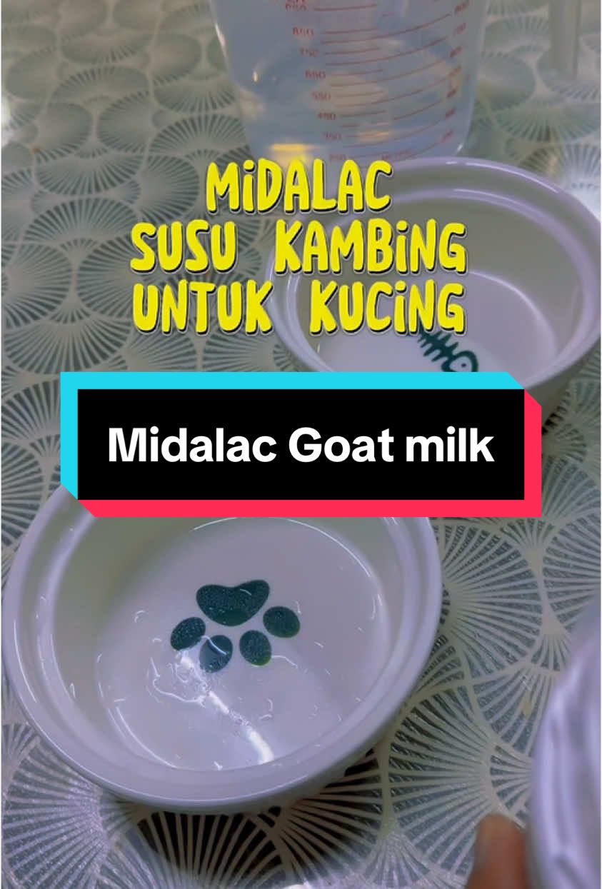 Mudah disediakan & tinggi nutrisi 👍🏼 #susukambing #goatmilkforcats #goatmilk #midalacgoatmilk #midalac #kitten #catlover 