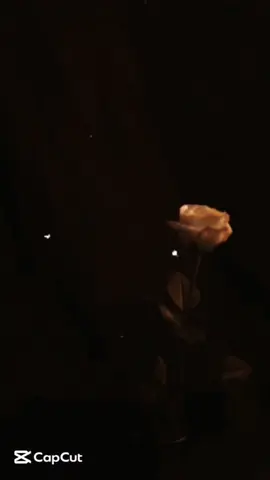 انا لو حبيبك 🖤🥀 .. #CapCut #محمد_فؤاد #انا_لو_حبيبك #انا_لو #mohamedfouad #fyp #trendingvideo #viral_video #explore #tranding #fypp #fypシ゚viral🖤tiktok #foru #foryoupage❤️❤️ #foryoupagе #اكسبلور #اكسبلوررررر #foryourpagе #song #musica #موسيقى #تجرح_قلبي_انا #محمد_فؤاد_اغاني #تصميم_فيديوهات🎶🎤🎬 #تصميمي #hurt #💔 #🖤 #🖤🥀 #🥺 #🥺💔 #trendiing #fypageシ #fyppp #fyy #fyyyyyyyyyyyyyyyy #fyppppppppppppppppppppppppppppppppppp #fypppppppppppppp 