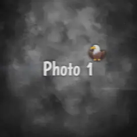 new template | #trendy__template #FunkNoCapCut #Funk #CapCut #fouyoupage #capcutvelocity #videoviral #template #capcuttemplate #trending #videogamesirl #fypシ #100k #viralvideo #fypppppppppppppppppppppppppppppppppppp #fouyou #fouyoupagetiktok #velocity #1millionaudition #fyp #trendy__template 