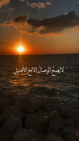 لا يصح الوصال الا مع الأصيل #fyp #مقاطع_دينيه #خواطر #جبرالخواطر 