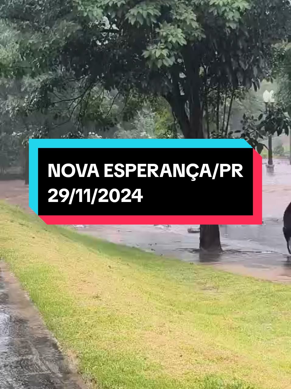 Nova Esperança/PR 29/11/2024 Chuva torrencial em poucos minutos ⛈️🌊 #chuva #furacao #ciclone #chuva #desastre #tempestades #raio #microburst #tornado #granizo #temporal #downburst #tempooeste 
