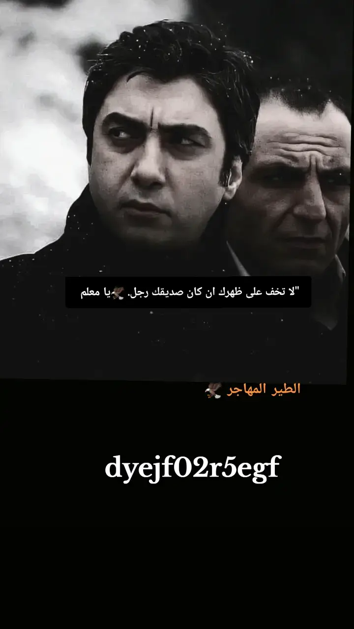 #الطير المهاجر 