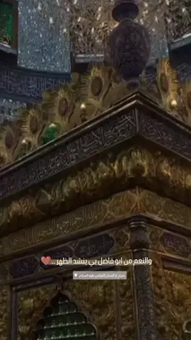 والنعم من أبو فاضل 🤎 #السلام_عليك_يا_ابا_الفضل_العباس_ع #بنت_طويريج #صعدوا_اكسبلور #كربلائيه #viralvideo #foryou #foryou 