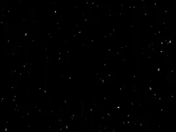 الكلبي فات بلا اذن #اوه #خواطر #تصميم #شعر #شعر #االعراق #مالي_خلق_احط_هاشتاقات🧢 #تصميم_فيديوهات🎶🎤🎬 #الشعب_الصيني_ماله_حل😂😂 #مالي_خلق_احط_هاشتاقات #كتاباتي #تصاميمي #اغاني #اغاني_مسرعه💥 #عبارات 