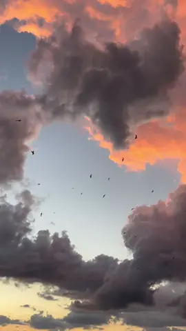 Sunset aesthetic live wallpaper Clouds aesthetic live wallpaper Aesthetic live wallpaper #livewallpaper #wallpaper #vibes #livewallpapers #2klivewallpapers #tiktokwallpaper #4klivewallpapers #4klivewallpaper #lockscreen #creatorsearchinsight #fakesituation⚠️ #8k #4k #fyp #creatorsearchinsights #lockscreenwallpaper #aesthetics #fypシ #naturevibes #nature #naturelover #4klivewallpaper #4klivewallpaper #livewallpapers #livewallpaper #livewallpaper4k #livewallpaperaesthetic #livewallpapers4k #livehdwallpaper #naturephotography #ghibli #ghiblistudios #ghiblimovie #ghibliedit #ghibliworld #animeworld #anime #aesthetick #gambar #animeaestheticedit #fondosdepantalla #fondodepantalla #4khdquality #4kwallpaper #warning A #fakeall #fakesituation #clouds #tiktokdonttakethisdown #popularvideo #trendingvideo 