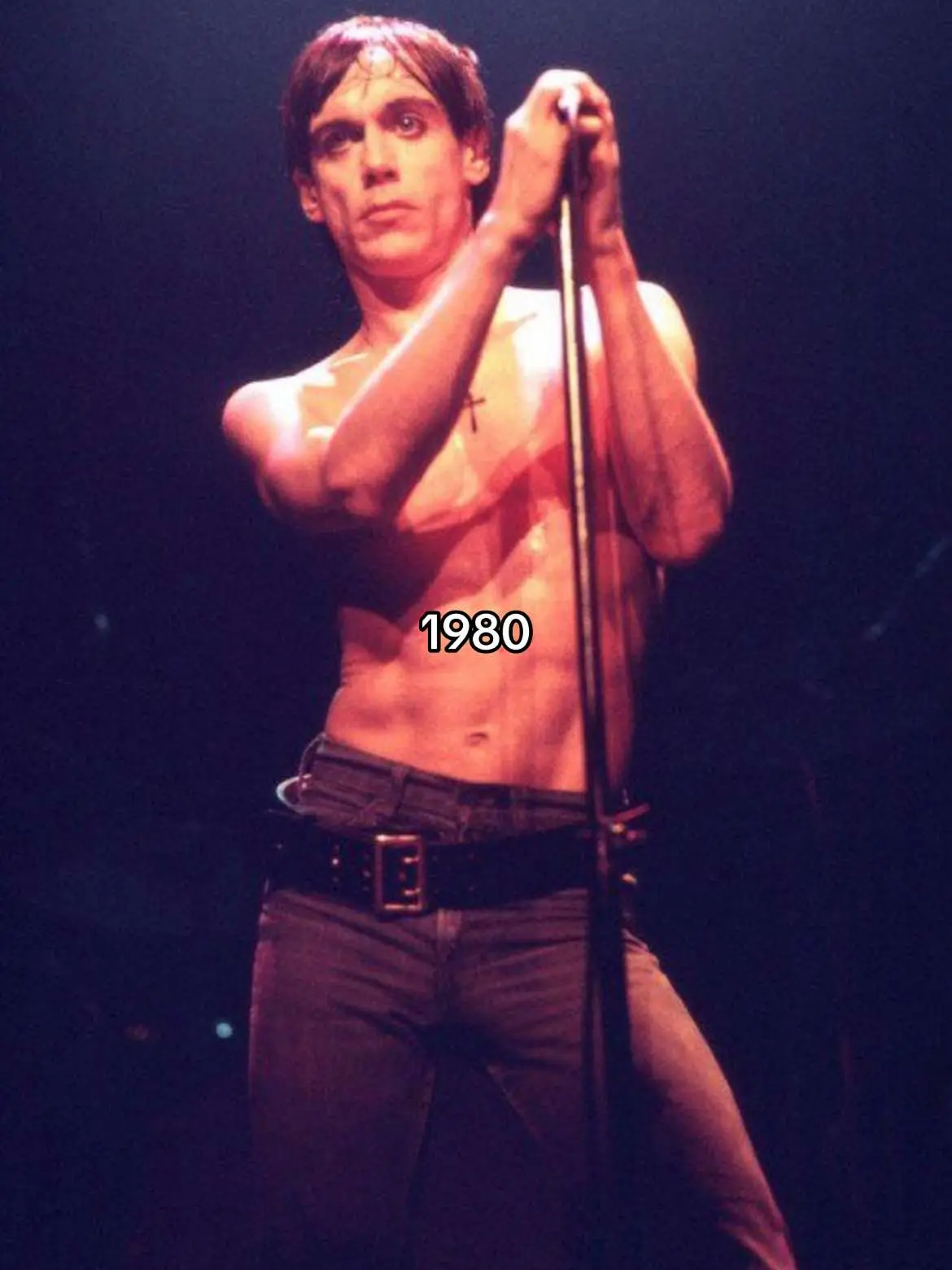 #iggypop #rock #dnt #donato #dntarchive 