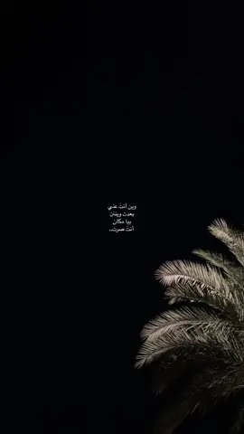 #اكسبلورexplore❥🕊 