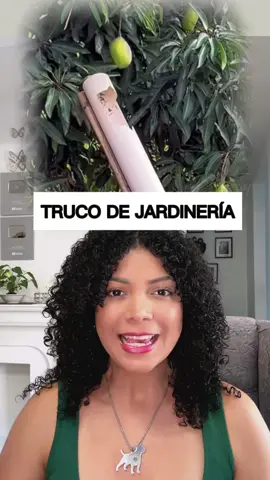 Truco o #hack de #jardinería para #fincas con árboles frutales #curiosidades