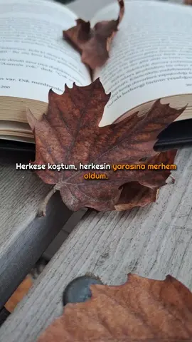 Seslendirme ve Sözler bana aittir. #asaferenturkoglu #kendikalemimden #kendisesimden 