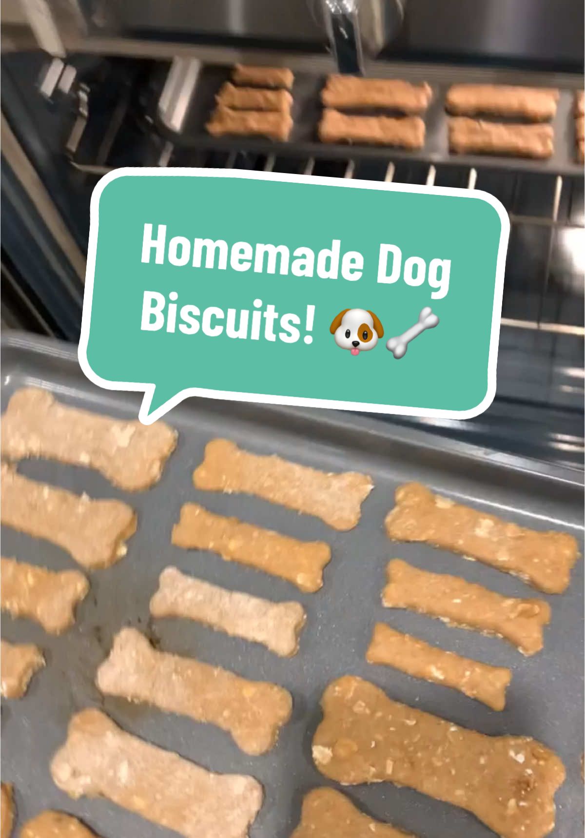 Homemade Dog Biscuits! 🐶🦴 #baking #dogtreats #homemade 