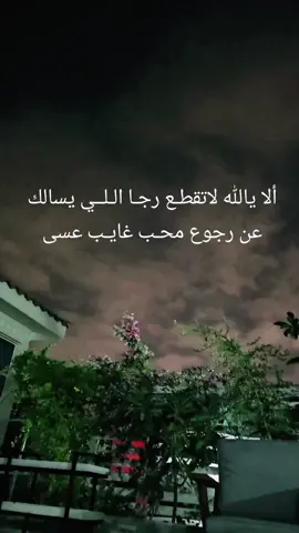 #العين #اكسبلورexplore #viral #alain_uae #ألا_يالله_لاتقطـع_رجـا_الـلــي_يسالك_عن_رجوع_محـب_غايـب_عسى عسى