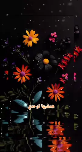 #my💗eyes #CapCut #دويتو #ايهاب_توفيق #الزمن_الجميل #eyes #explore #دويتو_اكسبلورر🇾 @ذكريات الزمن الجميل @music🎵🎵 @MusicBox🎼 @ايهاب توفيق $$ @مغنواتي انا-2 @رحيق♾️الورود @Rahma Mohsen @رحيق♾️الورود 