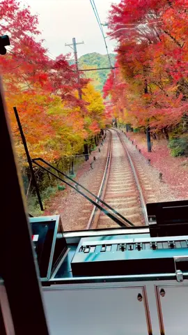 Kifune kyoto🇯🇵🇯🇵🇯🇵 #楓葉🍁 #貴船 #kyoto #iphone16pro 