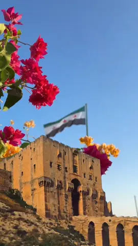 رفرف ياكايدهم رفرف احرار وفيه منتشرف 💚💚 #غرووب💜 #سوريا #حلب_حره #علم_الثوره_السورية_عشقي 