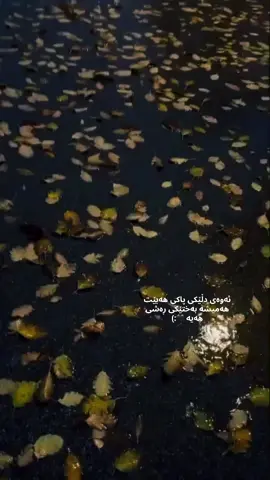 وتەیەکی پڕ لە مانا بنوسە 🥰،، #وتە #wta #baran 