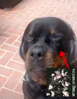 Meee ^0* #xyzcba #fyp #relatable #mejibray #korewoizontoyobunara #vkei #visualkei #visualkeitiktok #visualkeiband #music #repost #fypage #foryou #fypviral #vkeifyp #vkeiband #foryoupage 