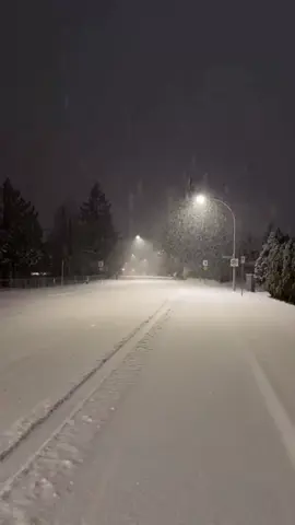 #snow #night #vibe 