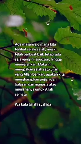 #katabijak #nasehatdiri #quotes #selfrimender✨ #pengikut #semuaorang #motivasihidup #semuaorang #sorotan 
