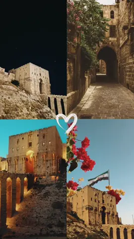 شتقنا لبيوتك حلب❤🥺#الثوره_السوريه_مستمره_ونحنا_مستمرين #حلب #شام #دمشق_حلب_حمص_حماة_طرطوس_الاذقية #viral #CapCut 