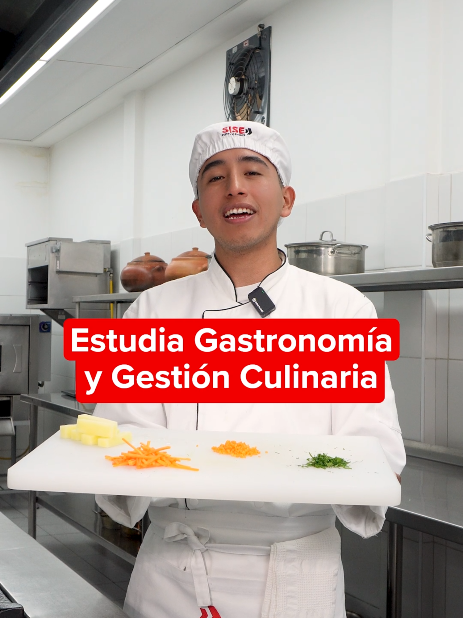 ¡Saca al chef que llevas dentro! Descubre el arte de la cocina y perfecciona tus habilidades culinarias en SISE. Estudia Gastronomía y Gestión Culinaria.  🔴 Si quieres estudiar en SISE, escríbenos por mensajes. #EDUCACION #SISE #GASTRONOMIA