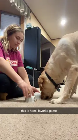 hes so special🥹 hans is the light of my life #dogsoftiktok 