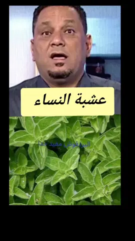عشبة البردقوش  لأمراض النساء وأمراض المناعه الذاتية  #naturistbestemedizin  #البردقوش #تكيسات_المبيض  #المناعة #اعشاب_طبيعيه_فوائد #تغذية_علاجية #foryoupage #المانيا🇩🇪 #virall #مشاهير_تيك_توك #تغذية_صحية #اللهم_صلي_على_نبينا_محمد #اكسبلوررررر #fypage 