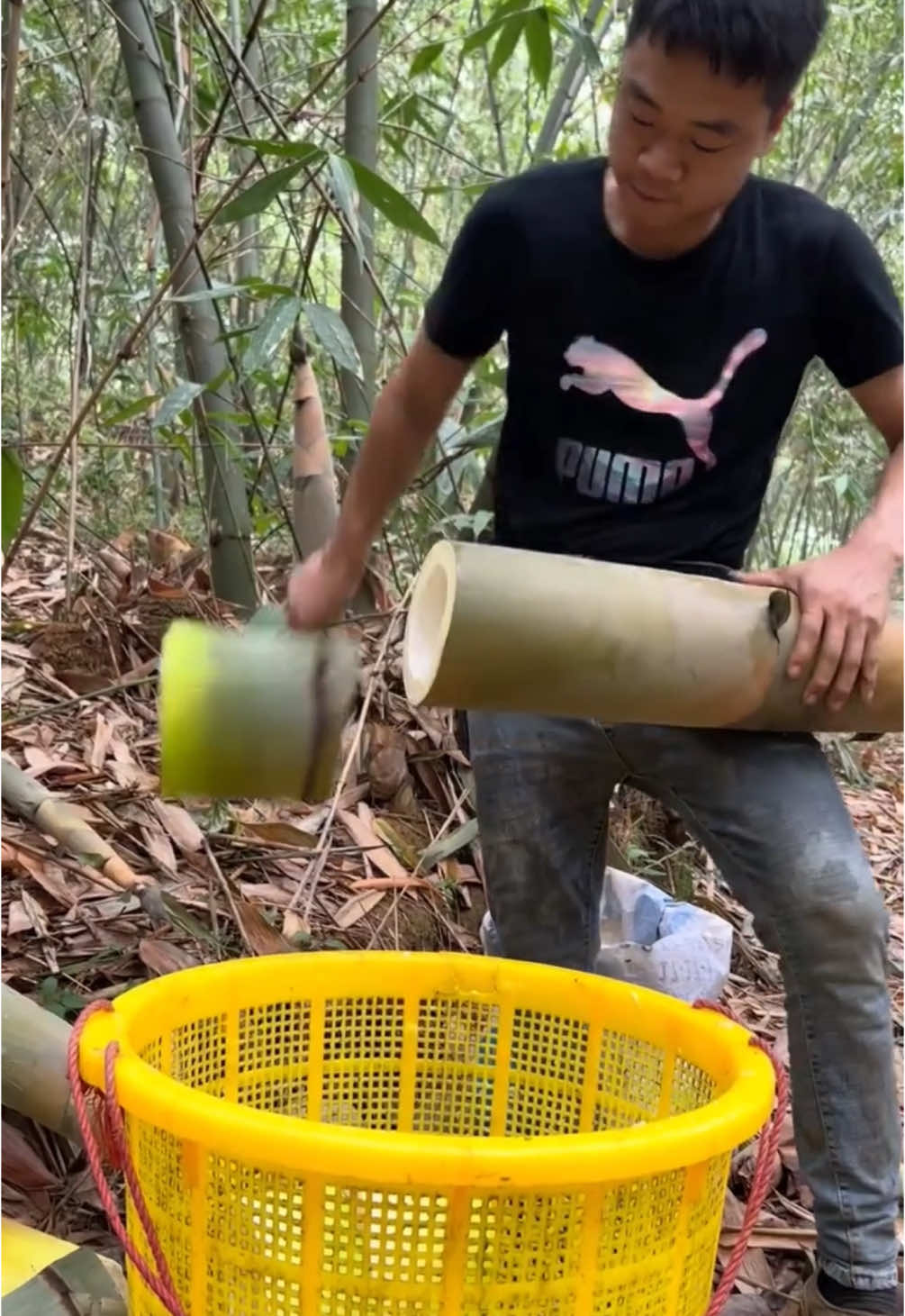 Have you ever eaten bamboo? 🎍🤷🏽‍♂️ Watch as a single, swift knife stroke cuts through a sweet bamboo stalk with precision. The clean, effortless slice is so satisfying, showcasing the perfect balance of sharpness and technique. It's mesmerizing to see such a simple act executed with such finesse, turning a routine task into a moment of pure visual delight! #fyp #foryou #bamboo #food #foodporn 